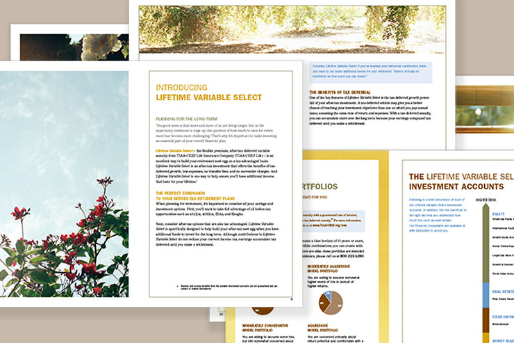 Interior Pages from a TIAA-CREF Investment Brochure
